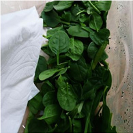 How to Keep Baby Spinach Fresh for Longer